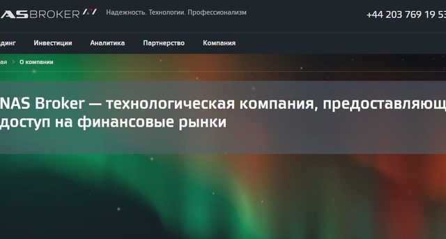 Преимущества И Недостатки Опционов
